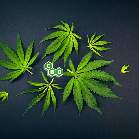 Cbd o que é ? Origem, definições e especificidades