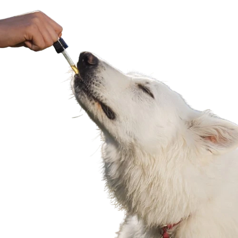 Óleo Para Pets