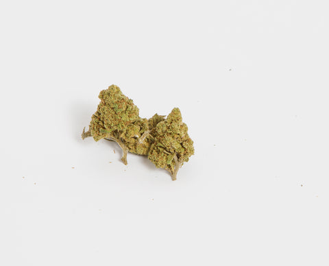Flores de CBD - Mango 10 Grams